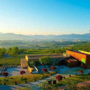 이수미팜베리카페 블랙베리 효능과 건강 정보