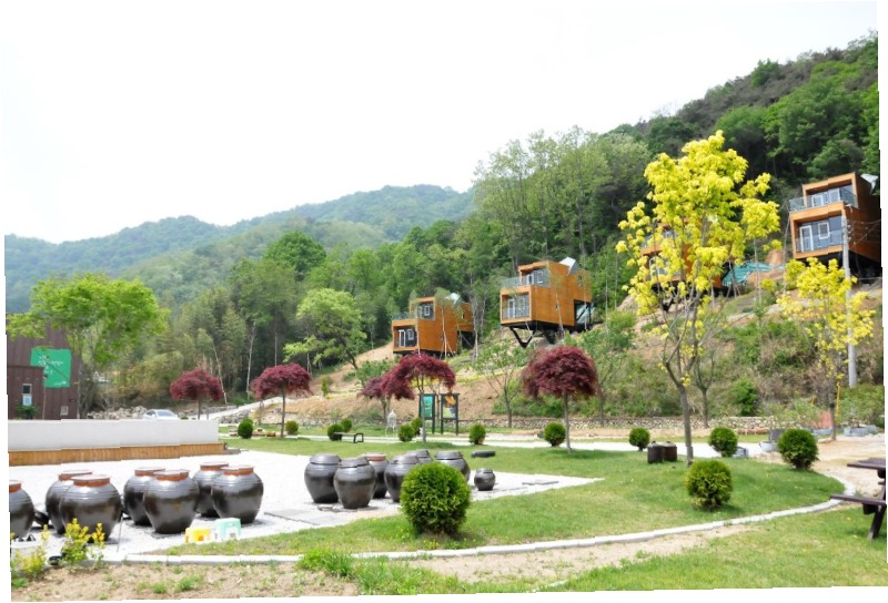 이수미팜베리카페 사진