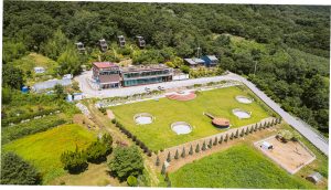 이수미팜베리카페 블랙베리 수확 체험 프로그램