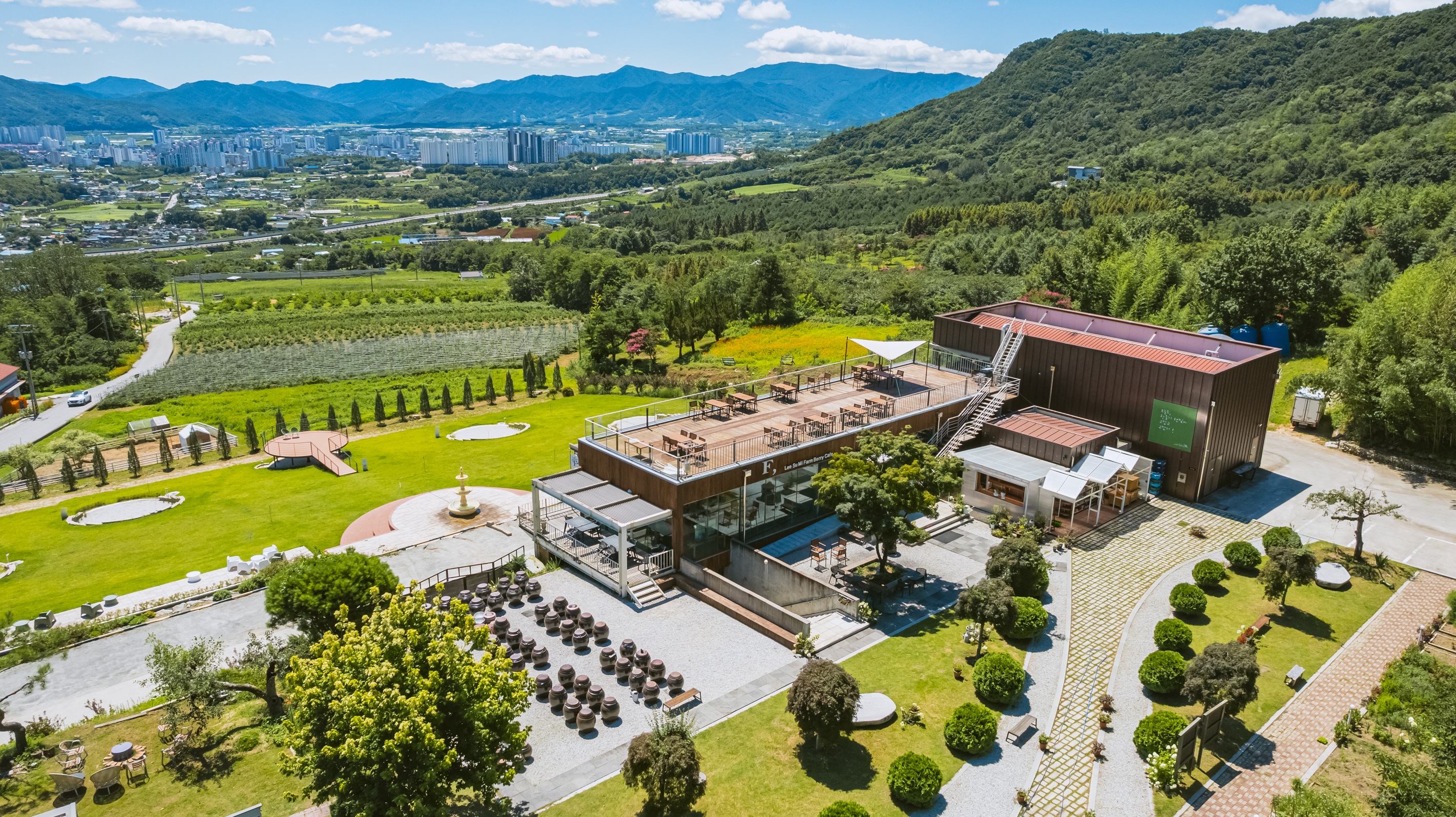 이수미팜베리 블랙베리 수확