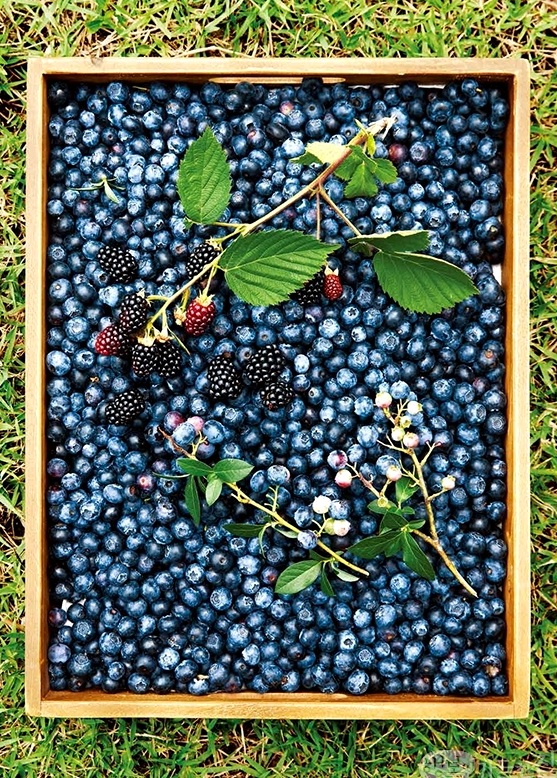 이수미팜베리카페 사진