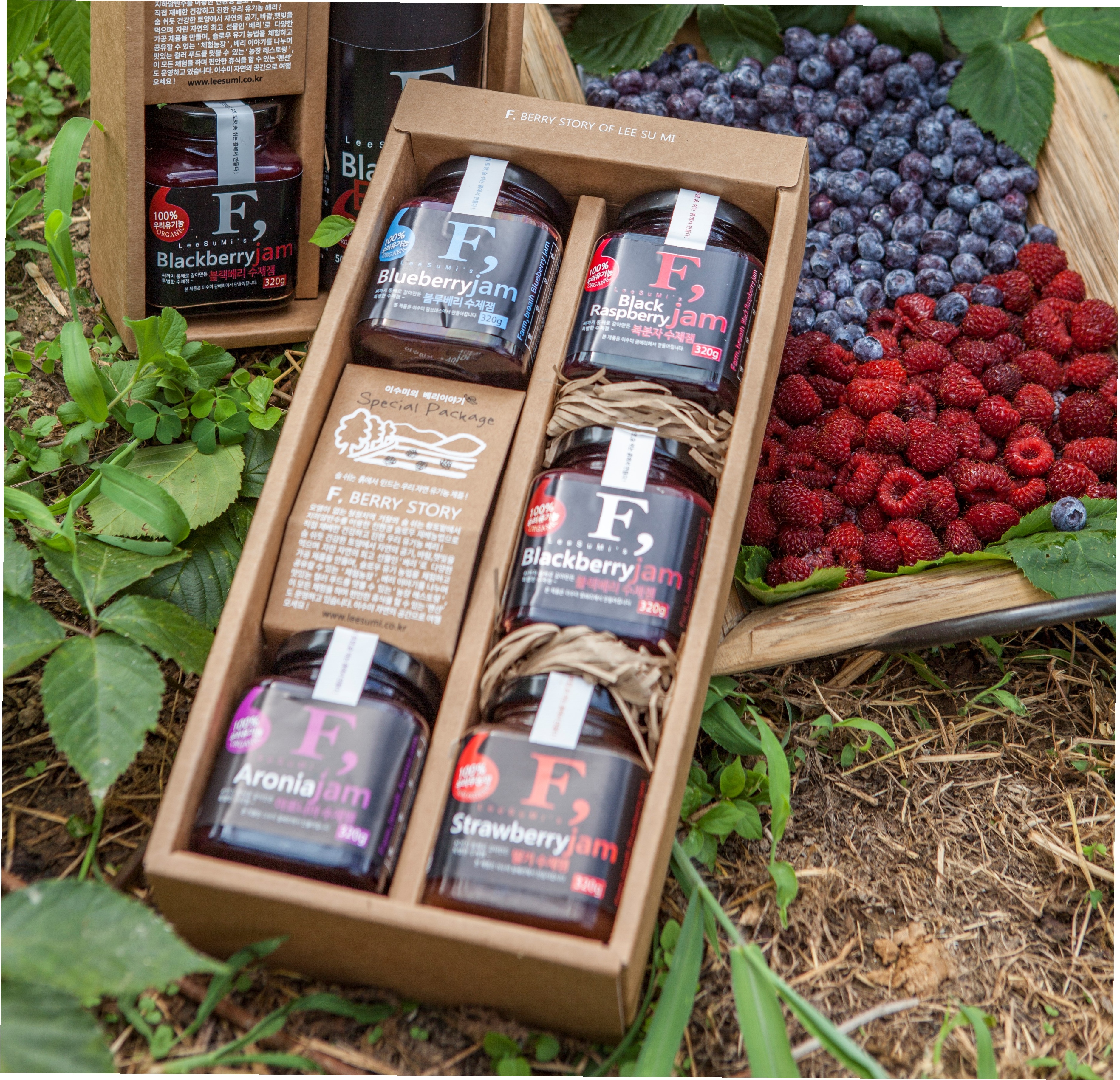 이수미팜베리 신선한 블랙베리