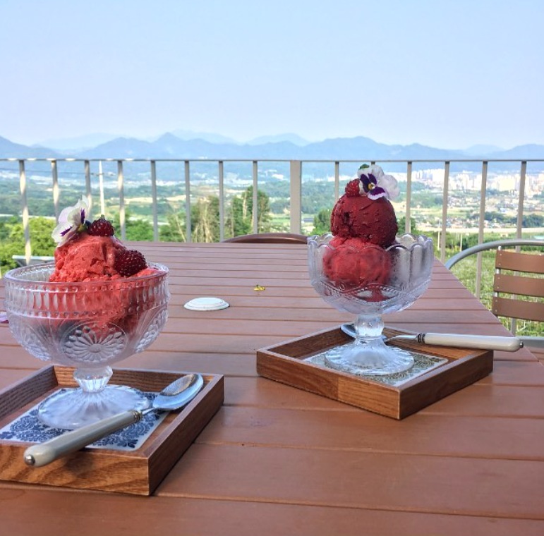 이수미팜베리카페 사진